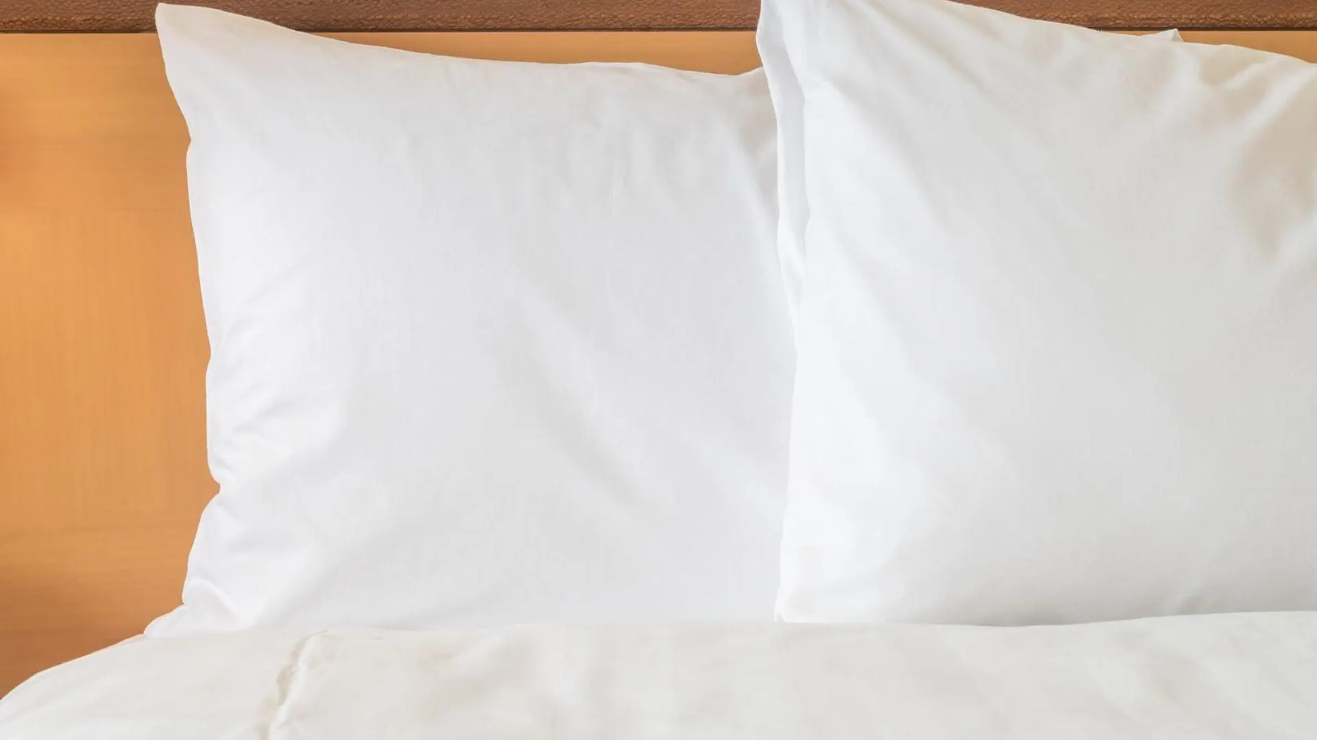 Crowne Plaza Orlando-Downtown By Ihg Hotel